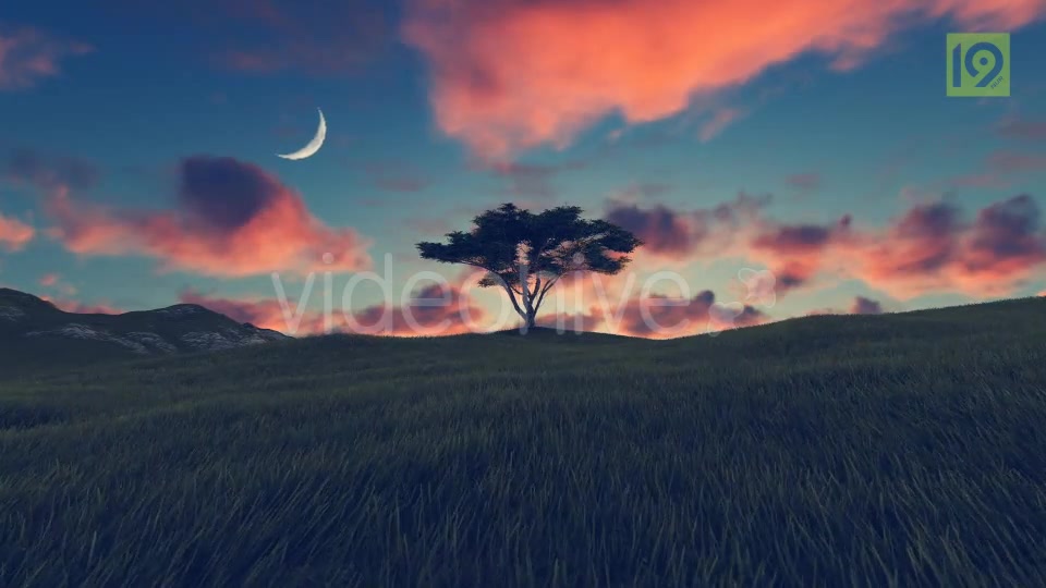 Tree On Hill 3 Videohive 20242520 Motion Graphics Image 4