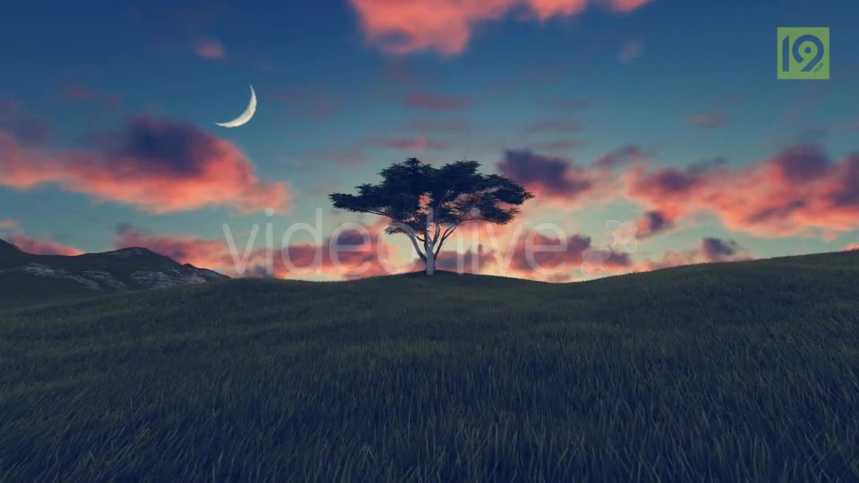 Tree On Hill 3 Videohive 20242520 Motion Graphics Image 5