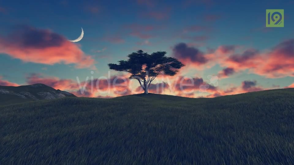 Tree On Hill 3 Videohive 20242520 Motion Graphics Image 6
