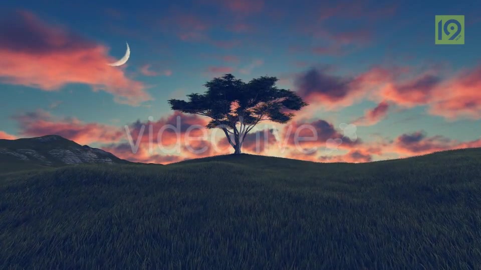 Tree On Hill 3 Videohive 20242520 Motion Graphics Image 7