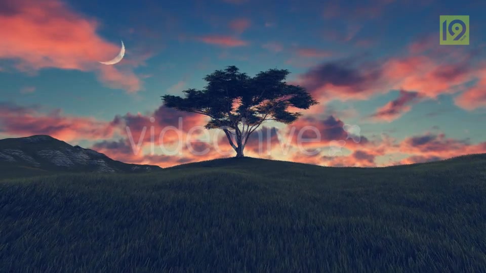 Tree On Hill 3 Videohive 20242520 Motion Graphics Image 8