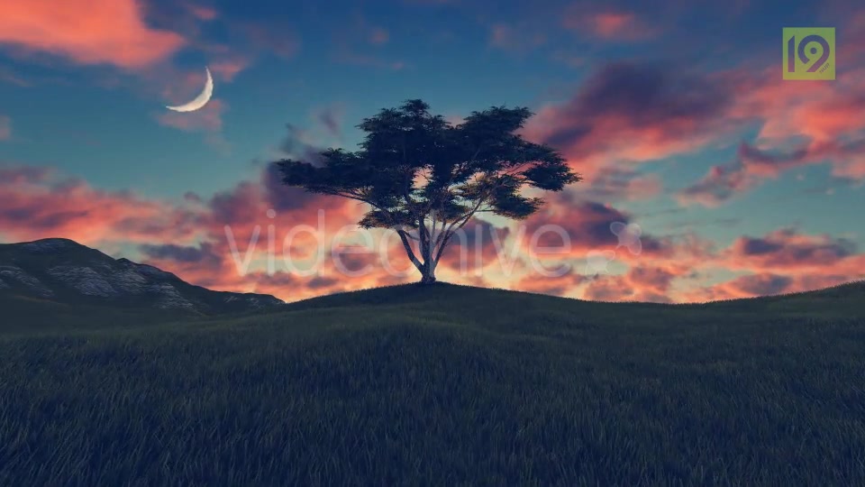 Tree On Hill 3 Videohive 20242520 Motion Graphics Image 9