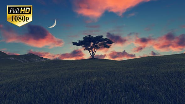 Tree On Hill 3 - Download Videohive 20242520