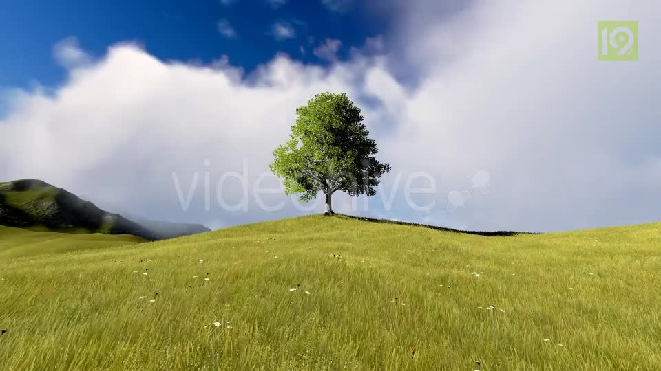 Tree On Hill Videohive 20127275 Motion Graphics Image 1