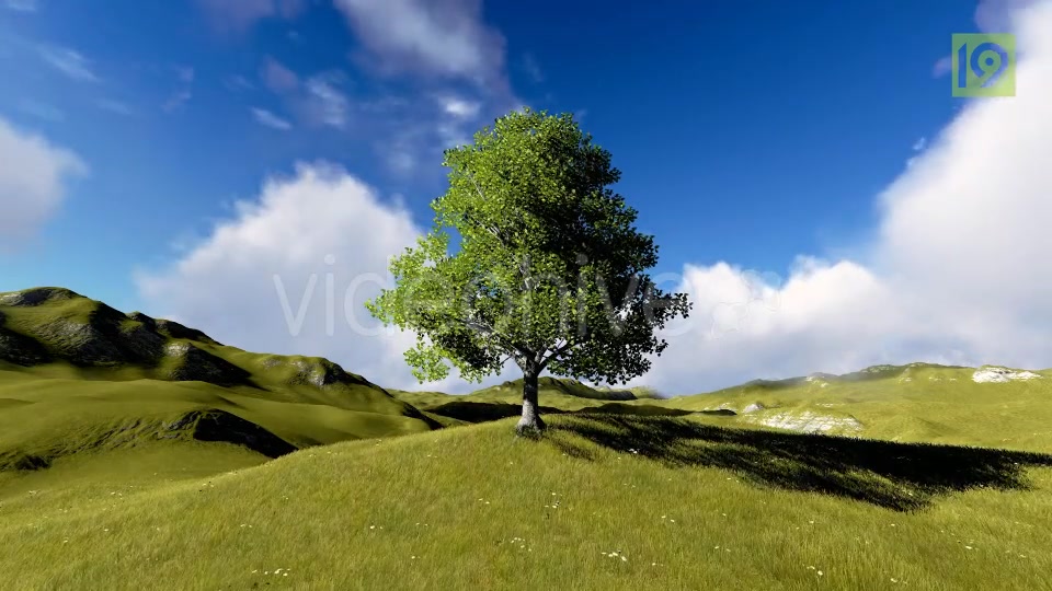 Tree On Hill Videohive 20127275 Motion Graphics Image 10