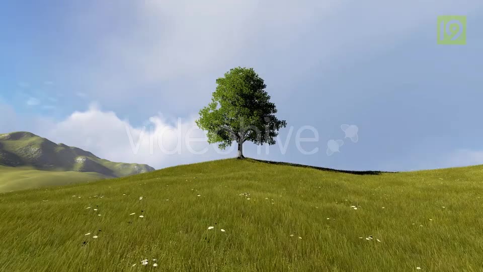 Tree On Hill Videohive 20127275 Motion Graphics Image 2