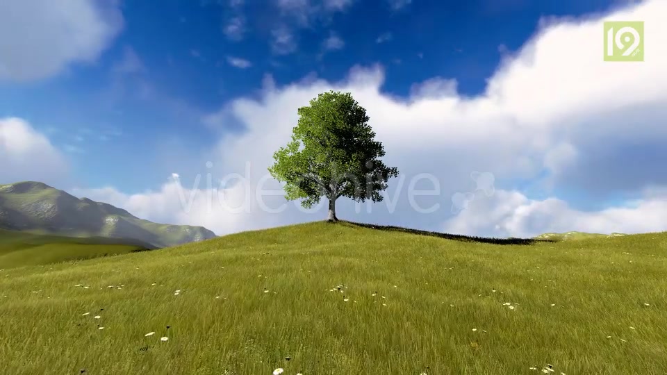 Tree On Hill Videohive 20127275 Motion Graphics Image 3