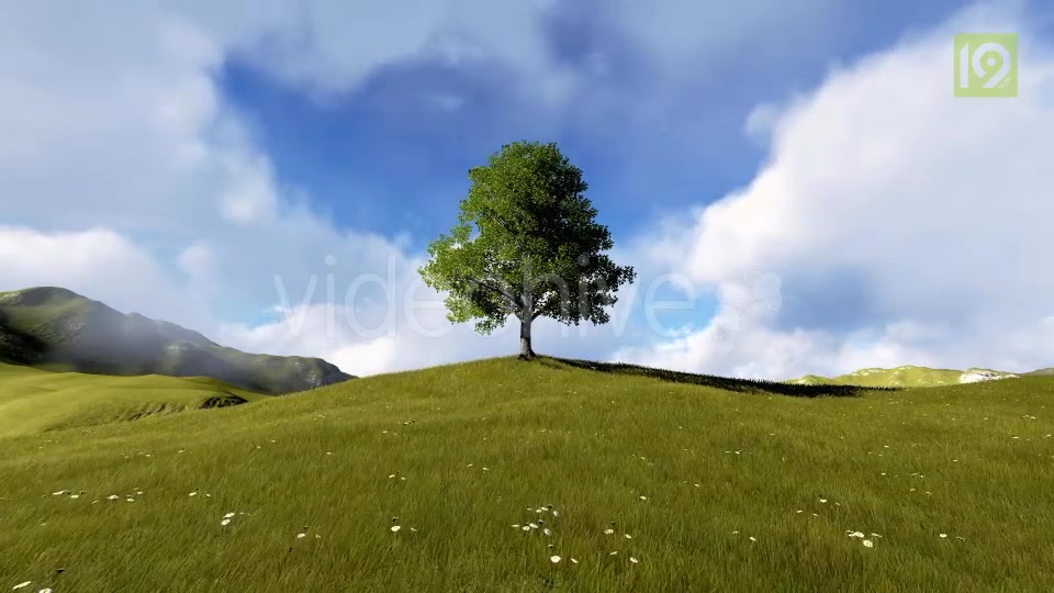 Tree On Hill Videohive 20127275 Motion Graphics Image 4