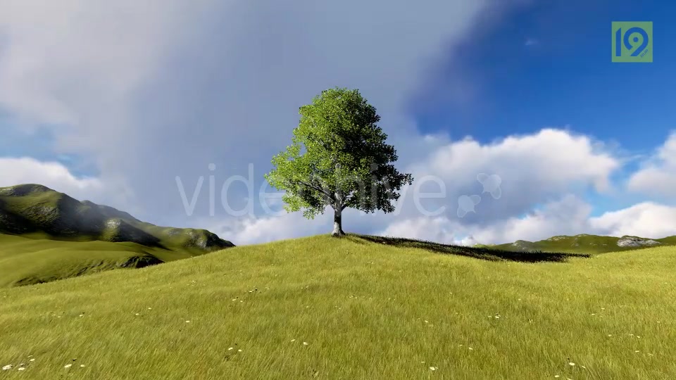 Tree On Hill Videohive 20127275 Motion Graphics Image 5