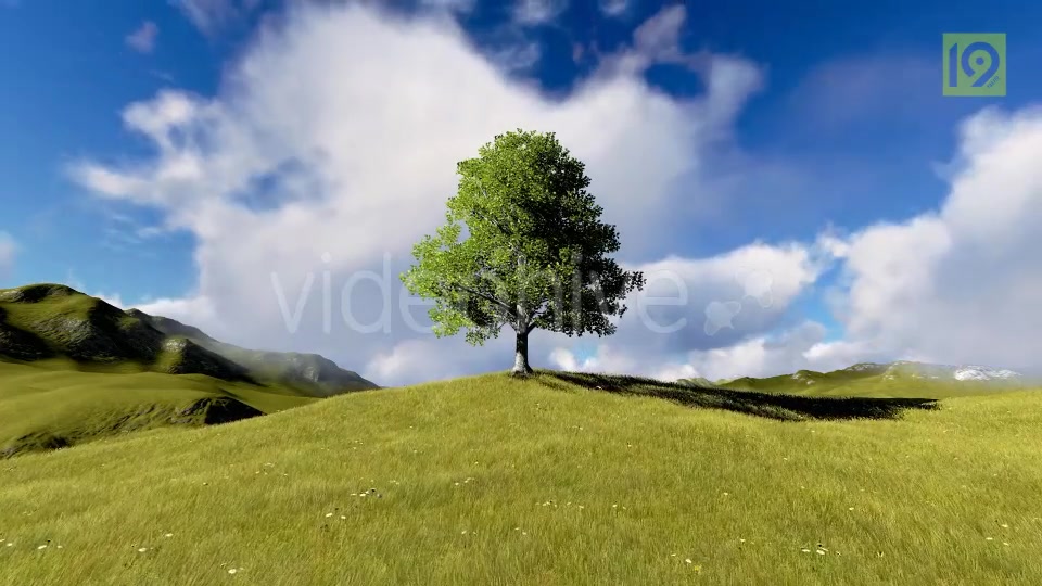 Tree On Hill Videohive 20127275 Motion Graphics Image 6