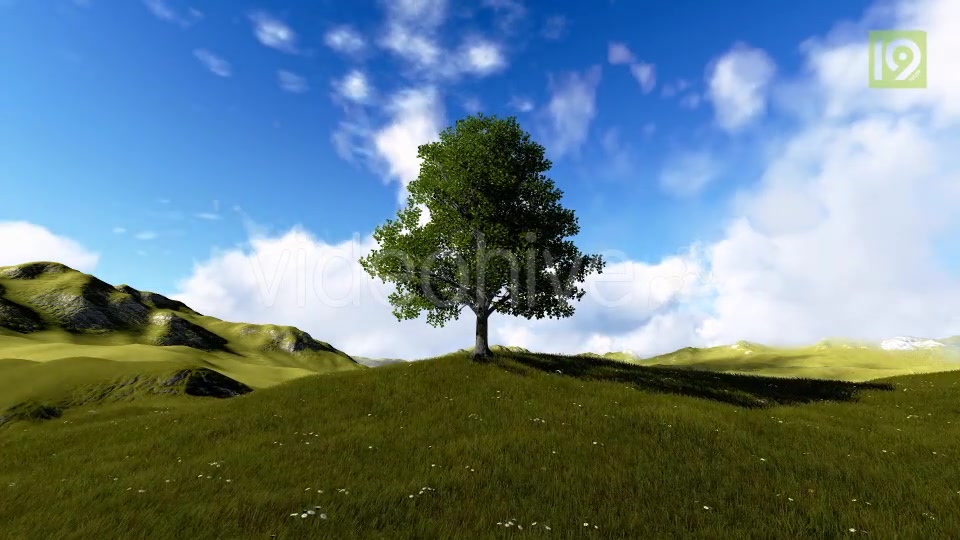 Tree On Hill Videohive 20127275 Motion Graphics Image 7