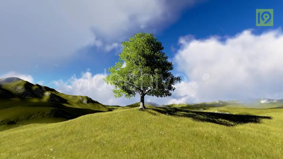 Tree On Hill Videohive 20127275 Motion Graphics Image 8
