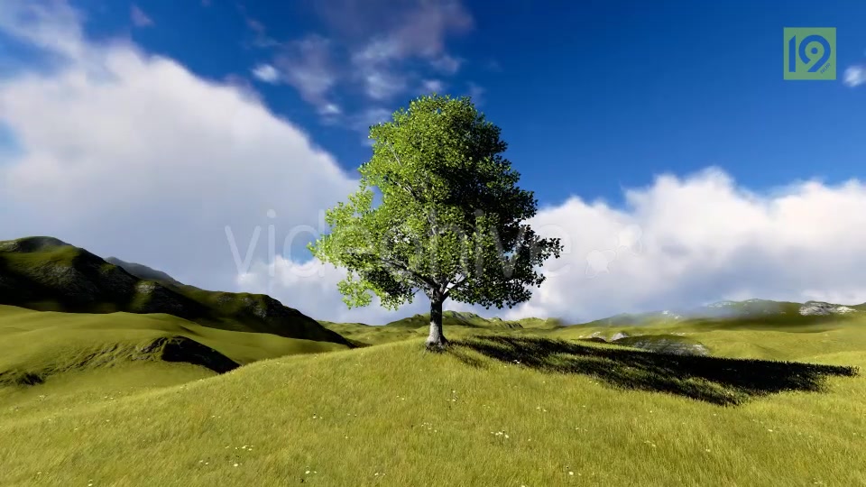 Tree On Hill Videohive 20127275 Motion Graphics Image 9