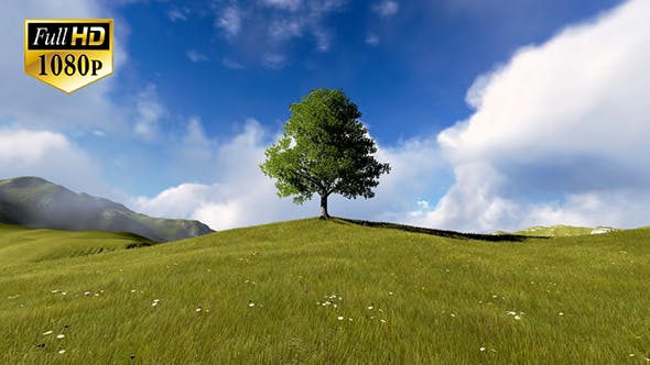 Tree On Hill - Videohive 20127275 Download