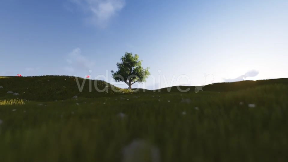 Tree Sunrise Videohive 12177939 Motion Graphics Image 4