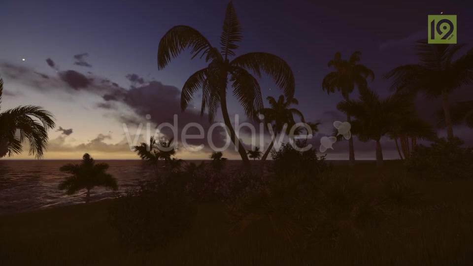 Tropical Beach Sunset 3 Videohive 19987598 Motion Graphics Image 4