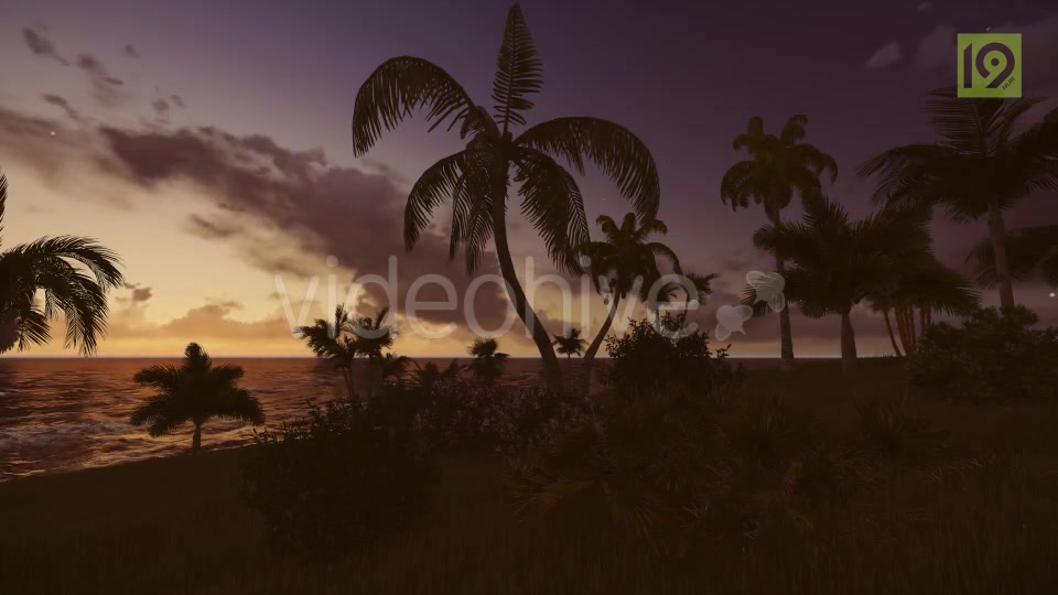 Tropical Beach Sunset 3 Videohive 19987598 Motion Graphics Image 5