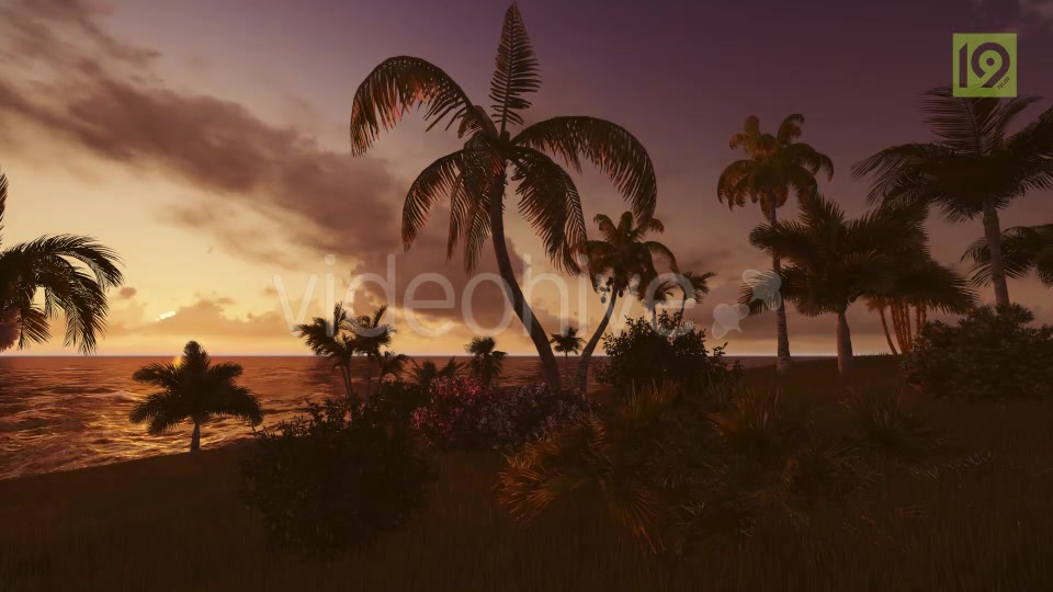 Tropical Beach Sunset 3 Videohive 19987598 Motion Graphics Image 6