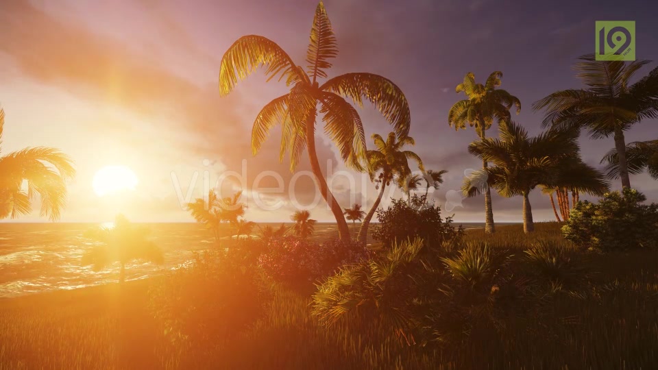 Tropical Beach Sunset 3 Videohive 19987598 Motion Graphics Image 7