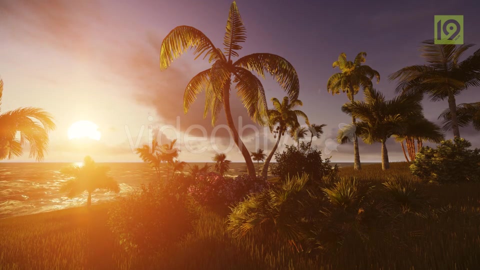 Tropical Beach Sunset 3 Videohive 19987598 Motion Graphics Image 9