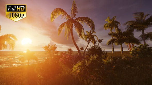 Tropical Beach Sunset 3 - 19987598 Download Videohive