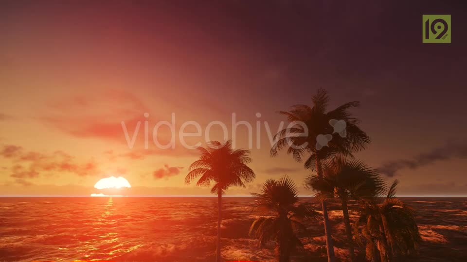 Tropical Beach Sunset 4 Videohive 19987670 Motion Graphics Image 1