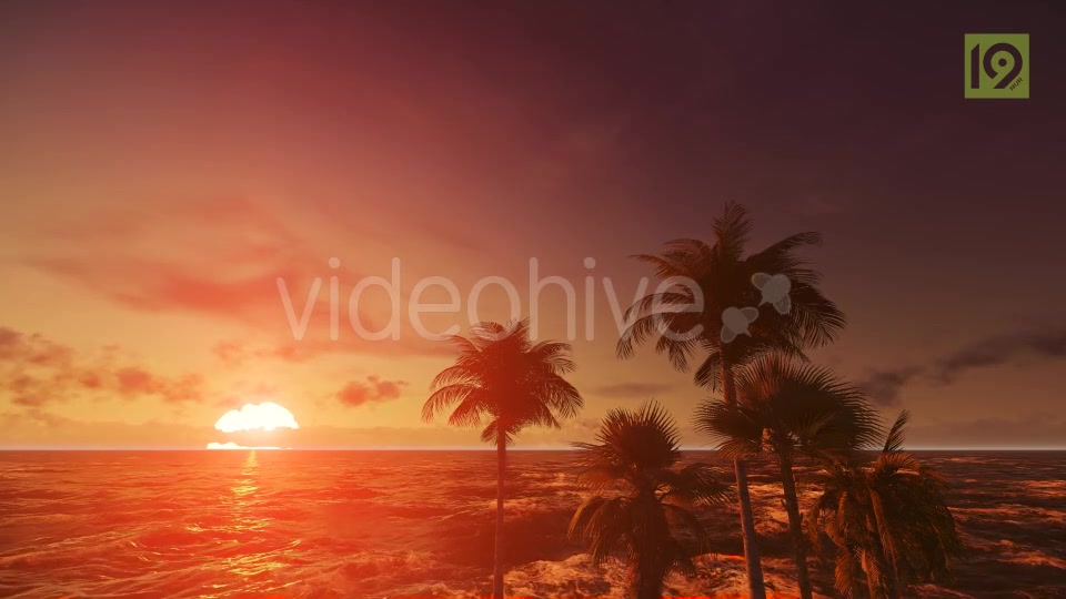 Tropical Beach Sunset 4 Videohive 19987670 Motion Graphics Image 2
