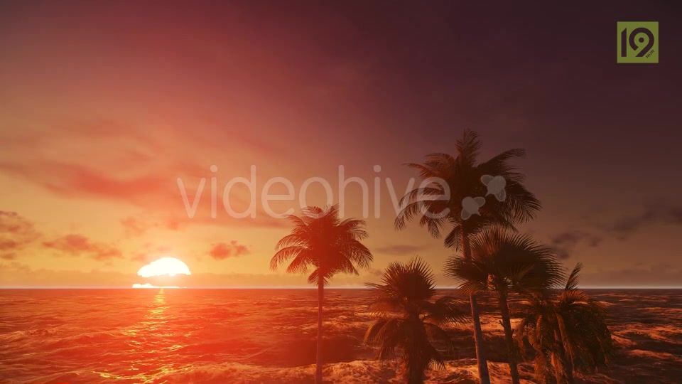 Tropical Beach Sunset 4 Videohive 19987670 Motion Graphics Image 3