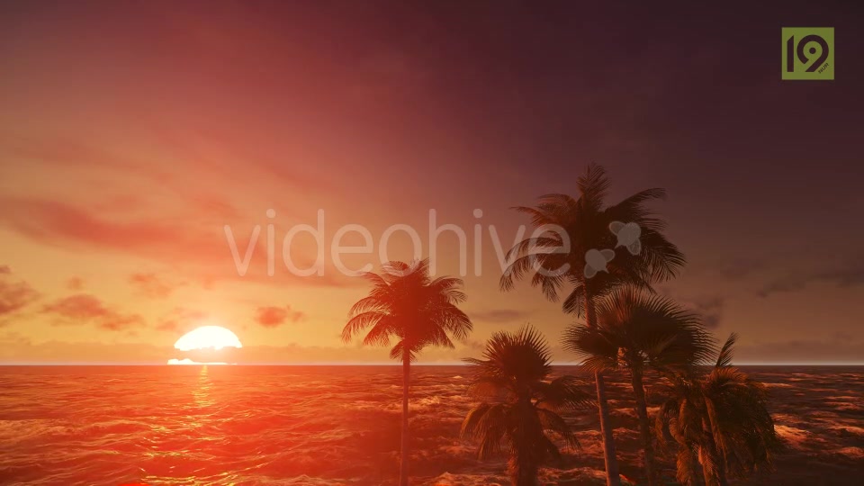 Tropical Beach Sunset 4 Videohive 19987670 Motion Graphics Image 4