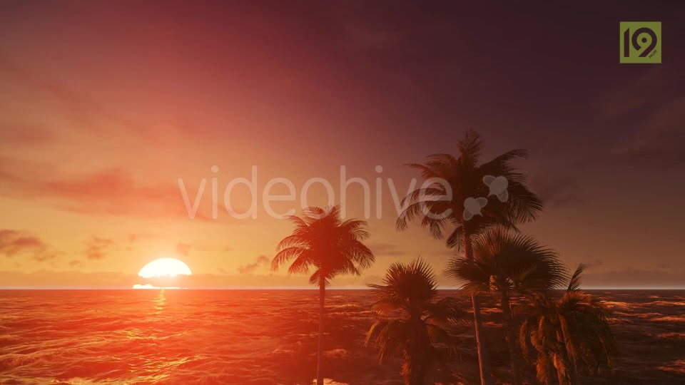 Tropical Beach Sunset 4 Videohive 19987670 Motion Graphics Image 8