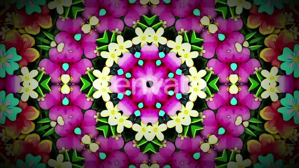 Tropical Flower Videohive 22554092 Motion Graphics Image 11
