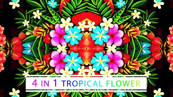 Tropical Flower - Download 22554092 Videohive
