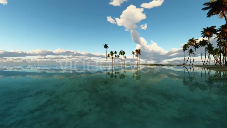 Tropical Island with Palms Videohive 19668383 Motion Graphics Image 1