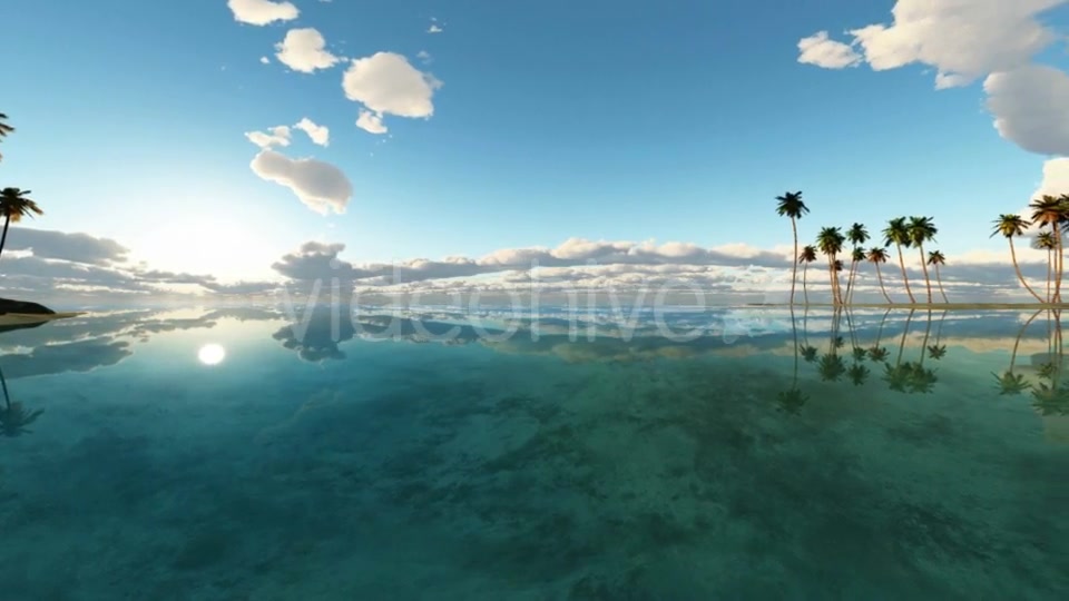 Tropical Island with Palms Videohive 19668383 Motion Graphics Image 10