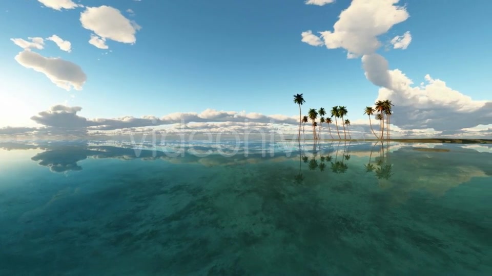 Tropical Island with Palms Videohive 19668383 Motion Graphics Image 11