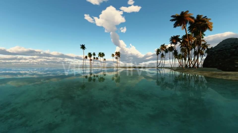 Tropical Island with Palms Videohive 19668383 Motion Graphics Image 2