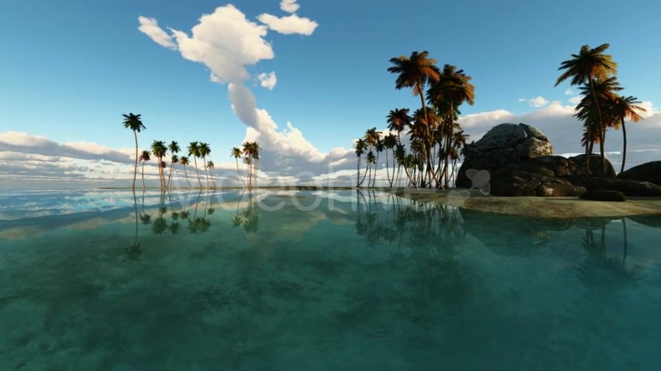 Tropical Island with Palms Videohive 19668383 Motion Graphics Image 3