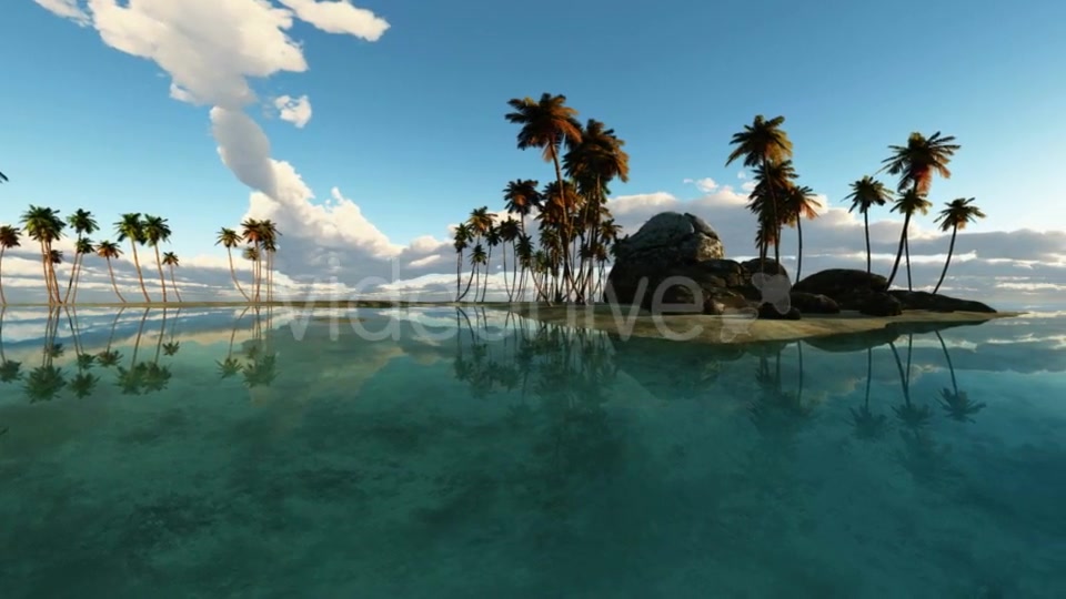 Tropical Island with Palms Videohive 19668383 Motion Graphics Image 4