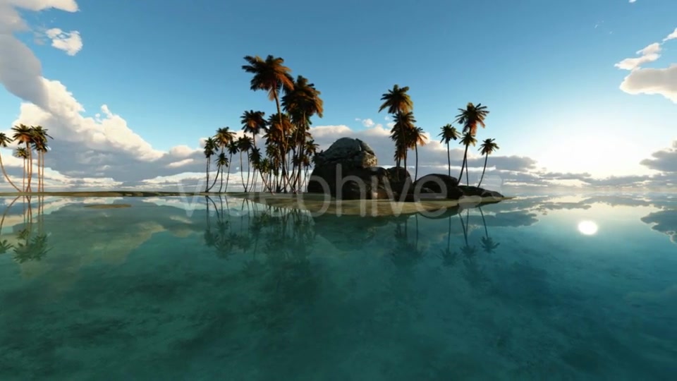 Tropical Island with Palms Videohive 19668383 Motion Graphics Image 5