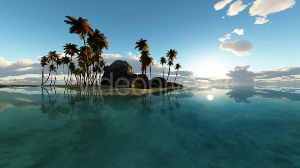 Tropical Island with Palms Videohive 19668383 Motion Graphics Image 6
