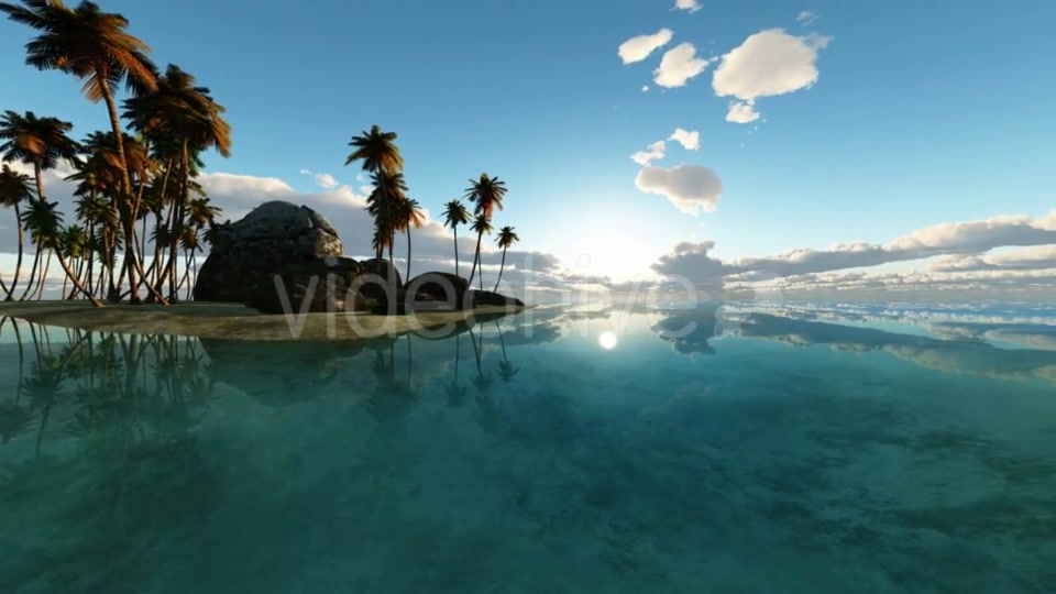 Tropical Island with Palms Videohive 19668383 Motion Graphics Image 7