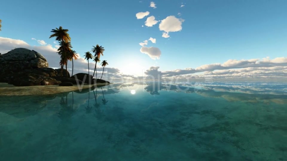 Tropical Island with Palms Videohive 19668383 Motion Graphics Image 8