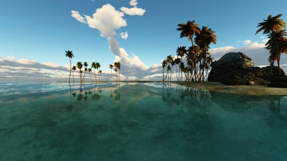 Tropical Island with Palms - Download Videohive 19668383
