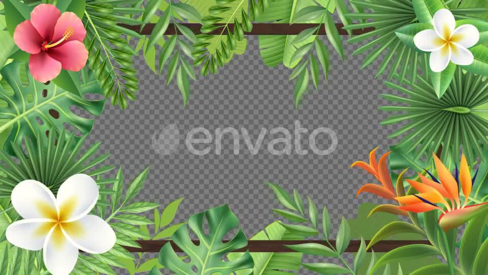 Tropical Plant Frame Hd Videohive 23722508 Motion Graphics Image 1