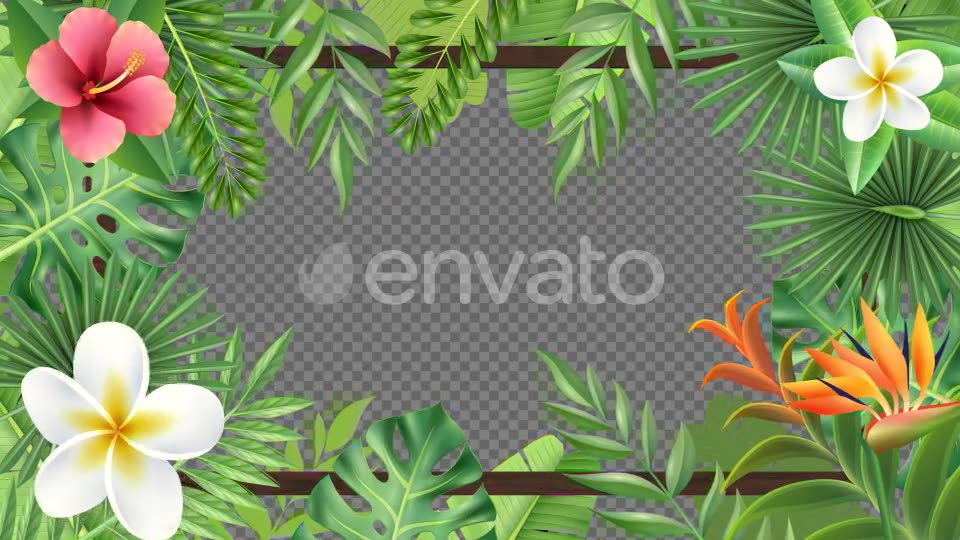 Tropical Plant Frame Hd Videohive 23722508 Motion Graphics Image 2