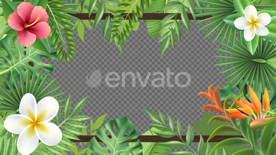 Tropical Plant Frame Hd Videohive 23722508 Motion Graphics Image 3