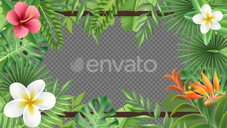 Tropical Plant Frame Hd Videohive 23722508 Motion Graphics Image 4