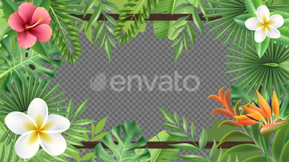 Tropical Plant Frame Hd Videohive 23722508 Motion Graphics Image 5