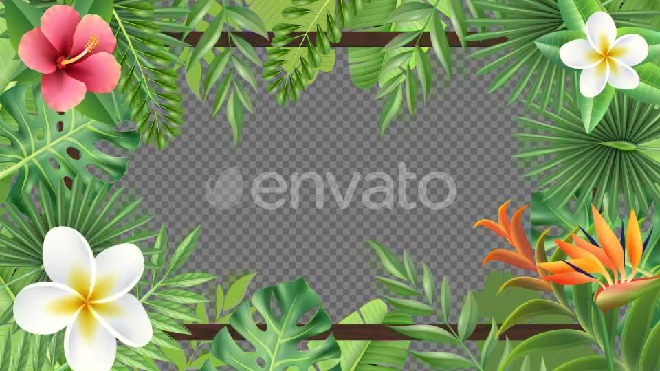 Tropical Plant Frame Hd Videohive 23722508 Motion Graphics Image 6