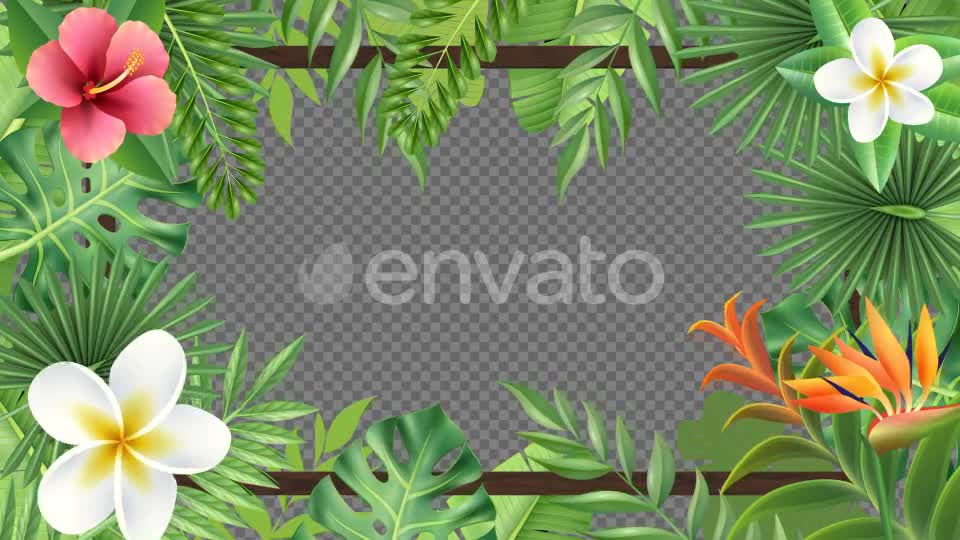 Tropical Plant Frame Hd Videohive 23722508 Motion Graphics Image 7